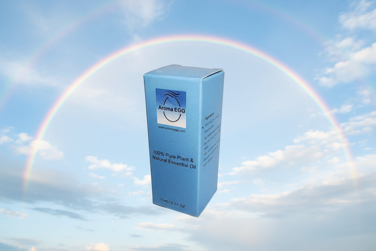 Anti Motion Sickness AromaEgg Essential Oil Bracelet