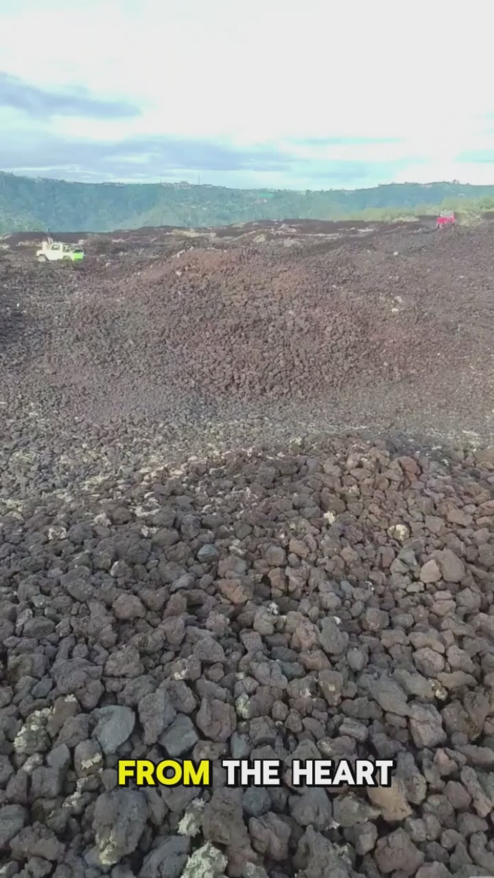 Load video: Video Demo